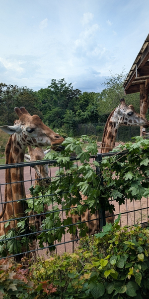 Zoo Magdeburg