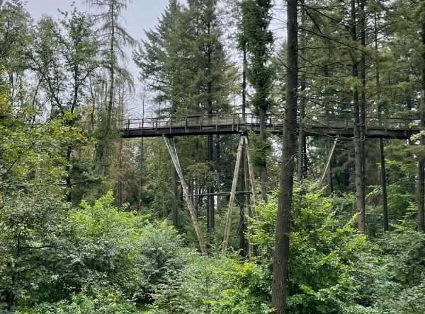 Baumwipfelpfad Saarschleife in Mettlach – Ausflug mit Kindern, Foto 7