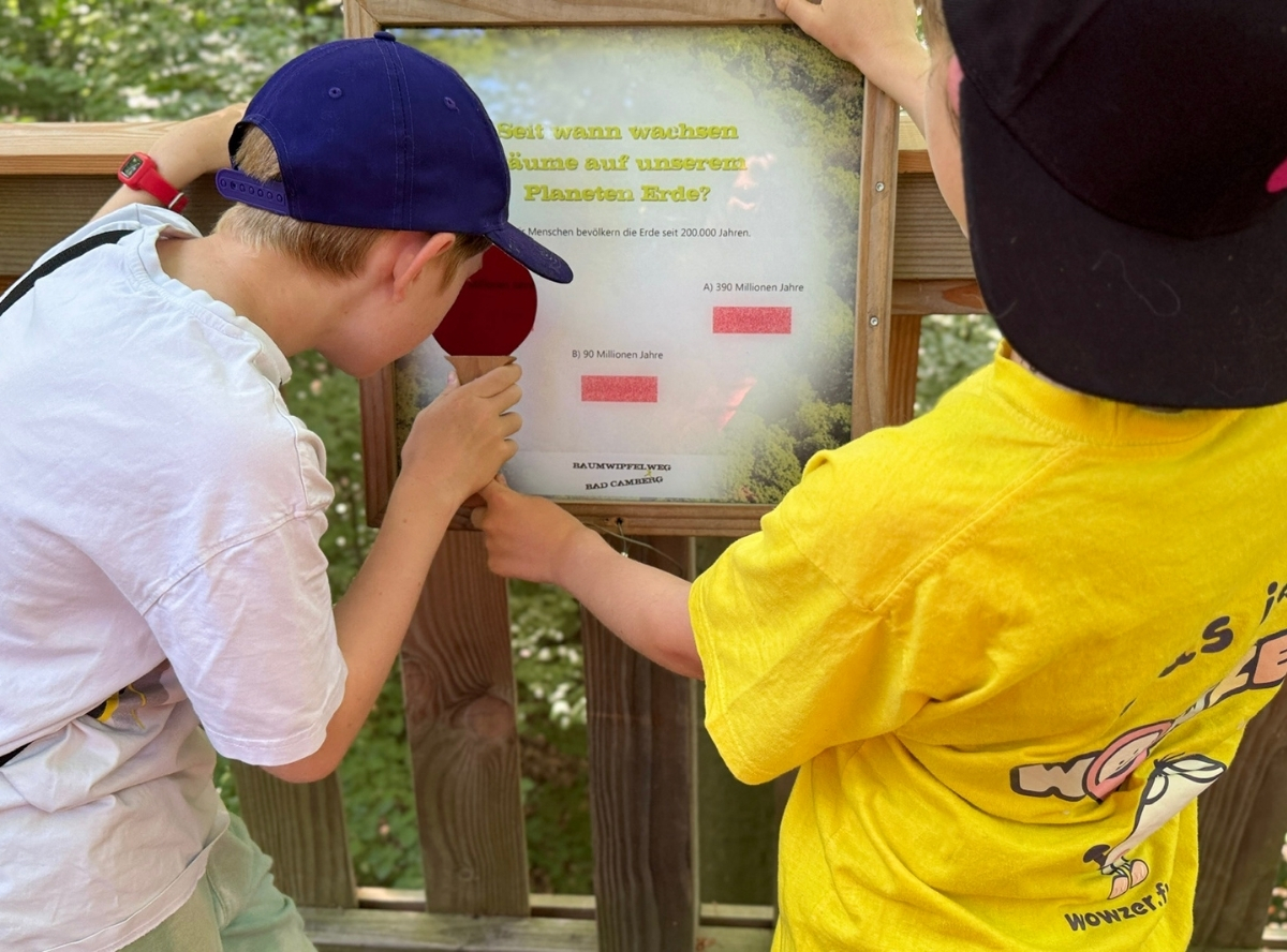 Baumwipfelweg Bad Camberg – Ausflug mit Kindern, Foto 5