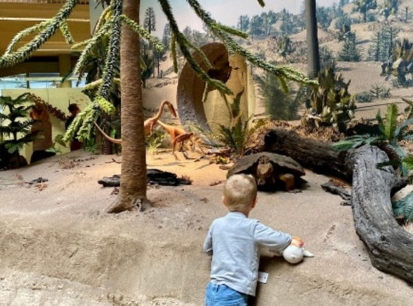 Naturkundemuseum in Stuttgart für Dinofans – Ausflug mit Kindern, Foto 3
