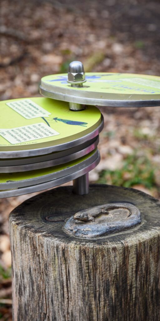 Naturlehrpfad Scheftheimer Wiesen – Ausflug mit Kindern, Foto 1