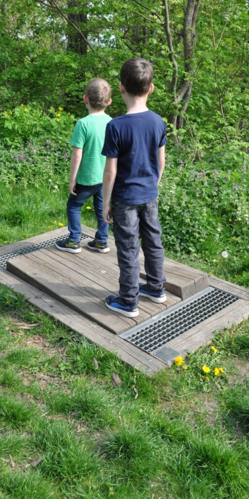 Die Burgruine Falkenstein – Ausflug mit Kindern, Foto 1