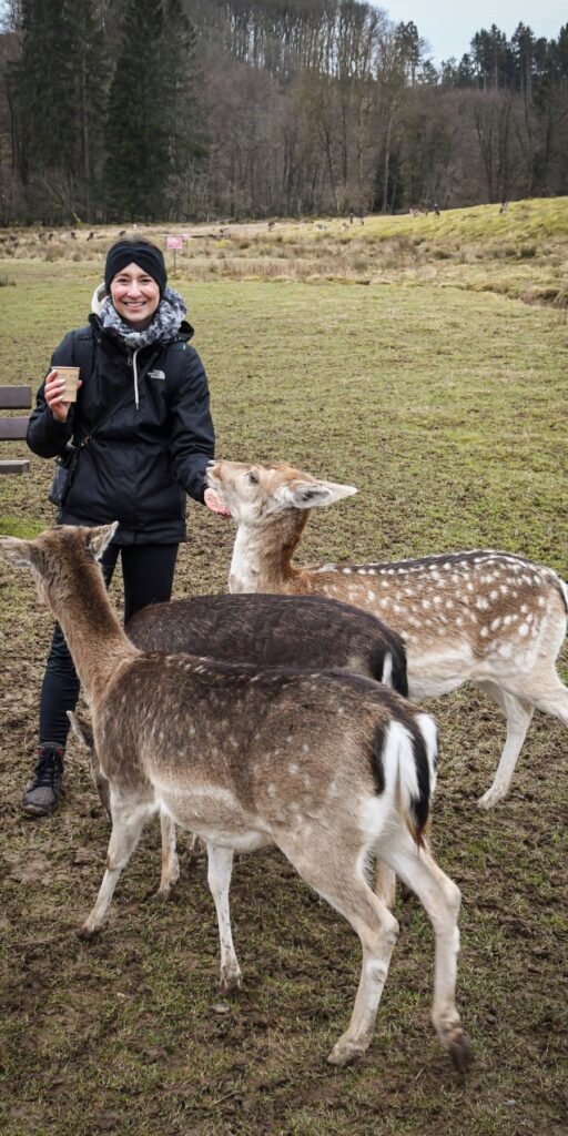 Tierpark Rheinböllen
