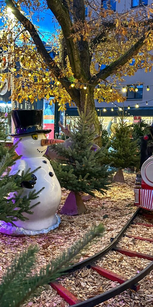 Karlsruher Christkindlesmarkt
