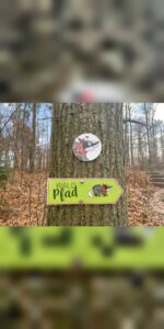 Diane Dachs Waldpfad Karlsruhe