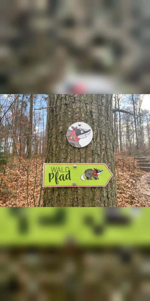 Diane Dachs Waldpfad Karlsruhe – Ausflug mit Kindern, Foto 1