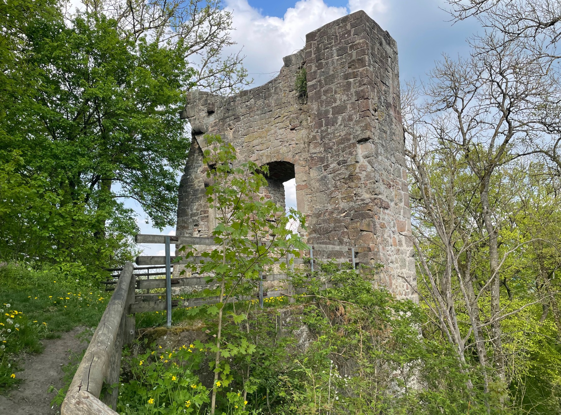 Die Burgruine Falkenstein – Ausflug mit Kindern, Foto 2