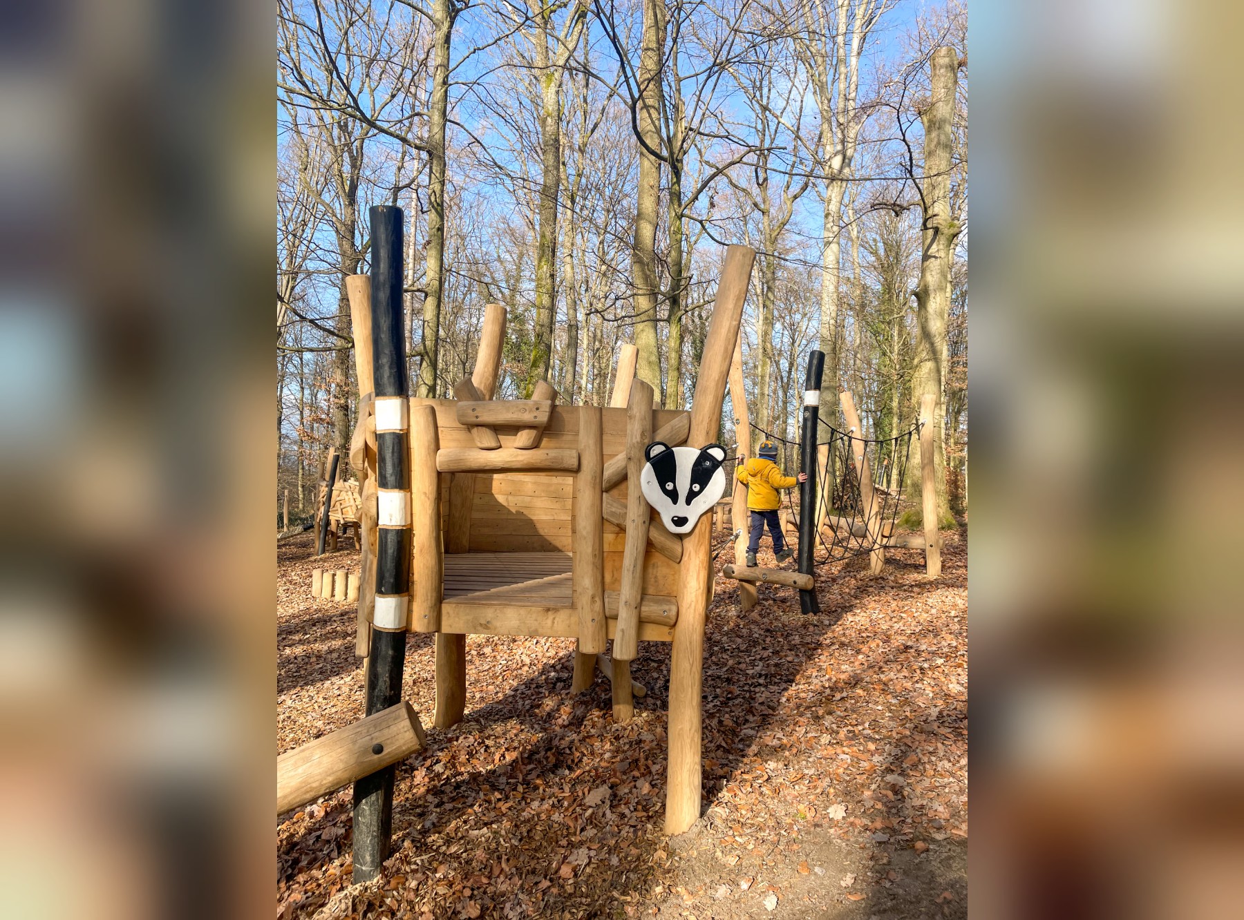 Diane Dachs Waldpfad Karlsruhe – Ausflug mit Kindern, Foto 2