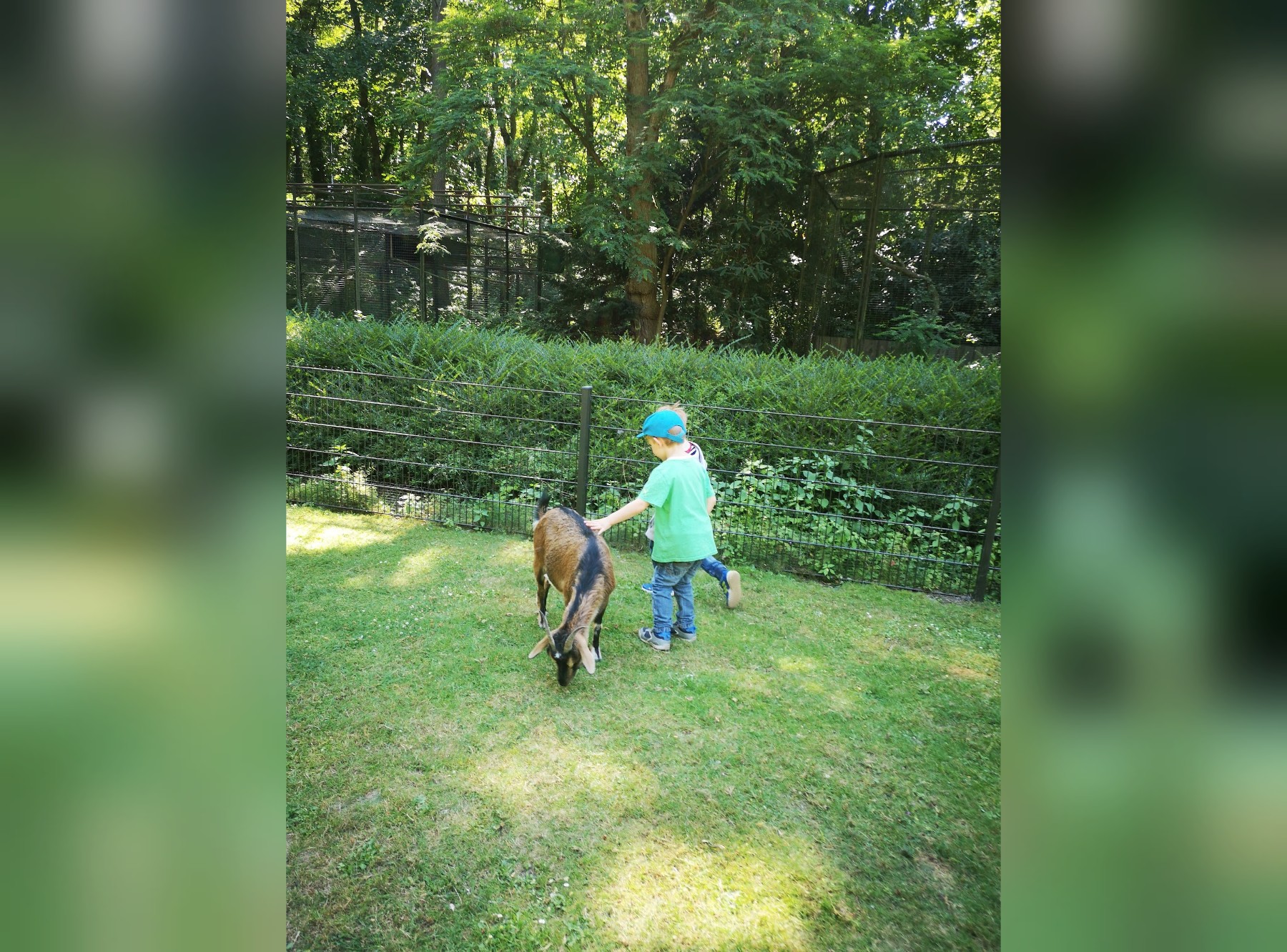 Zoo Rostock in Rostock – Ausflug mit Kindern, Foto 2