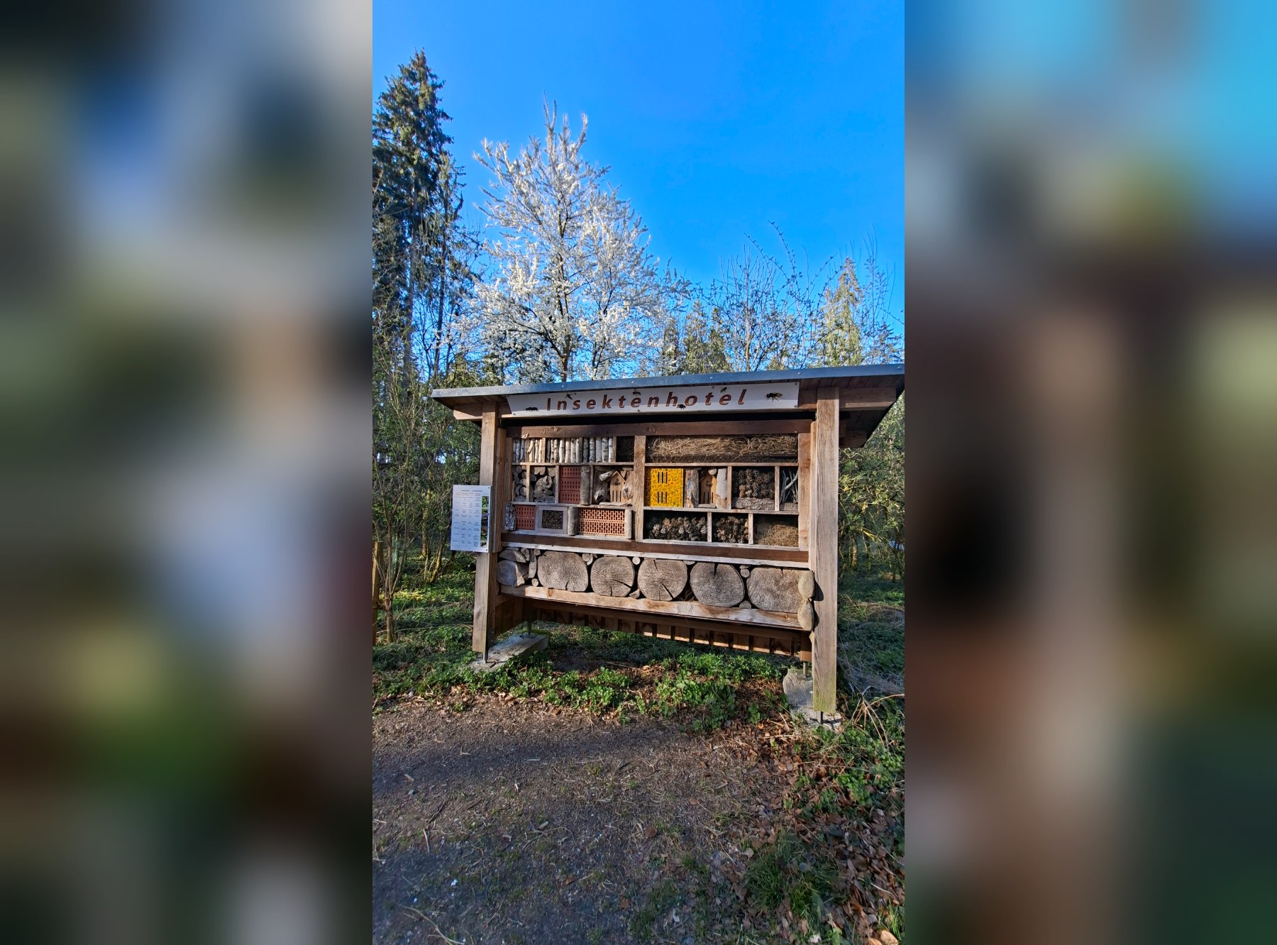 Naherholungsgebiet Tannenbühl – Ausflug mit Kindern, Foto 3