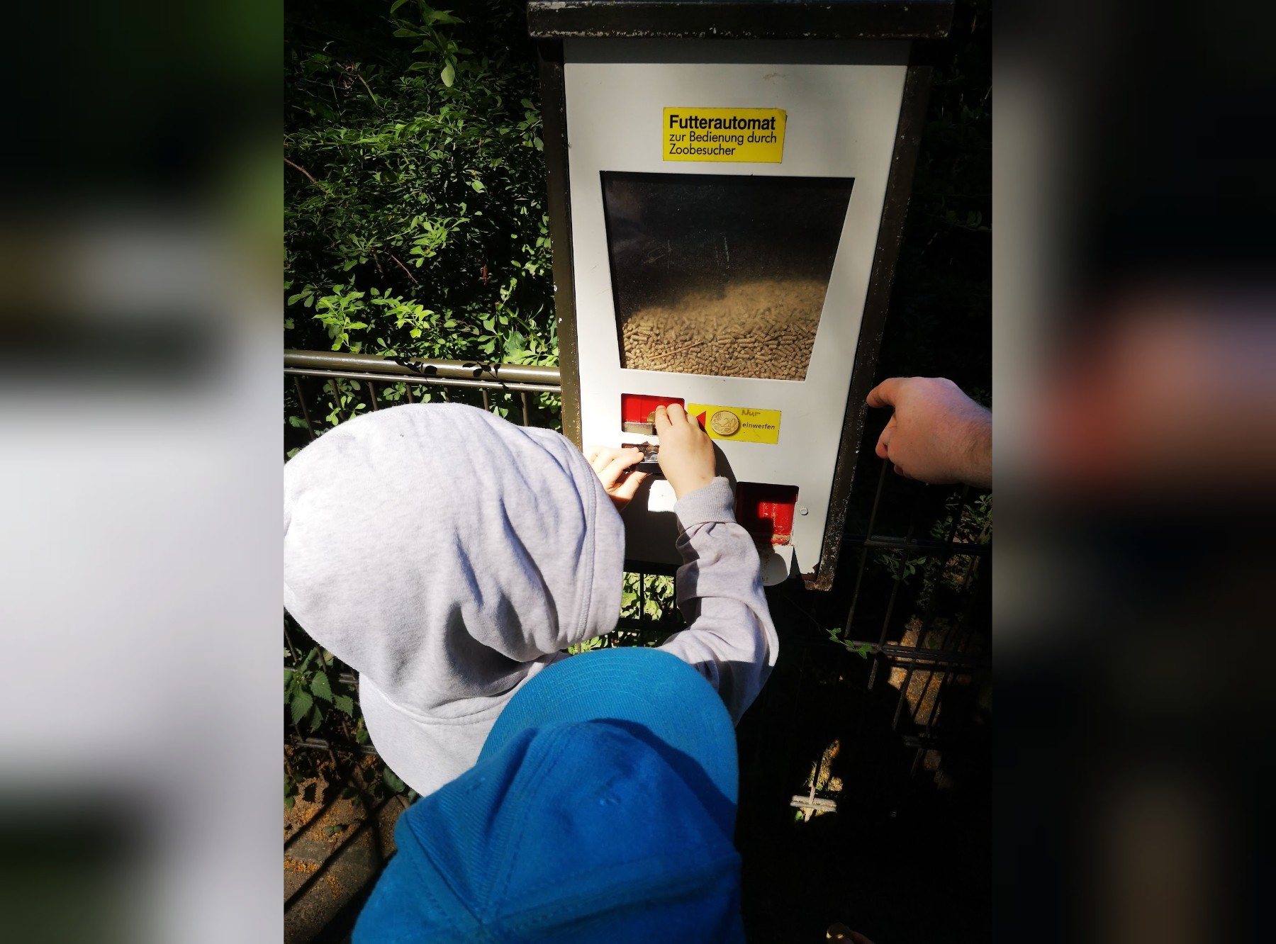Zoo Rostock in Rostock – Ausflug mit Kindern, Foto 3
