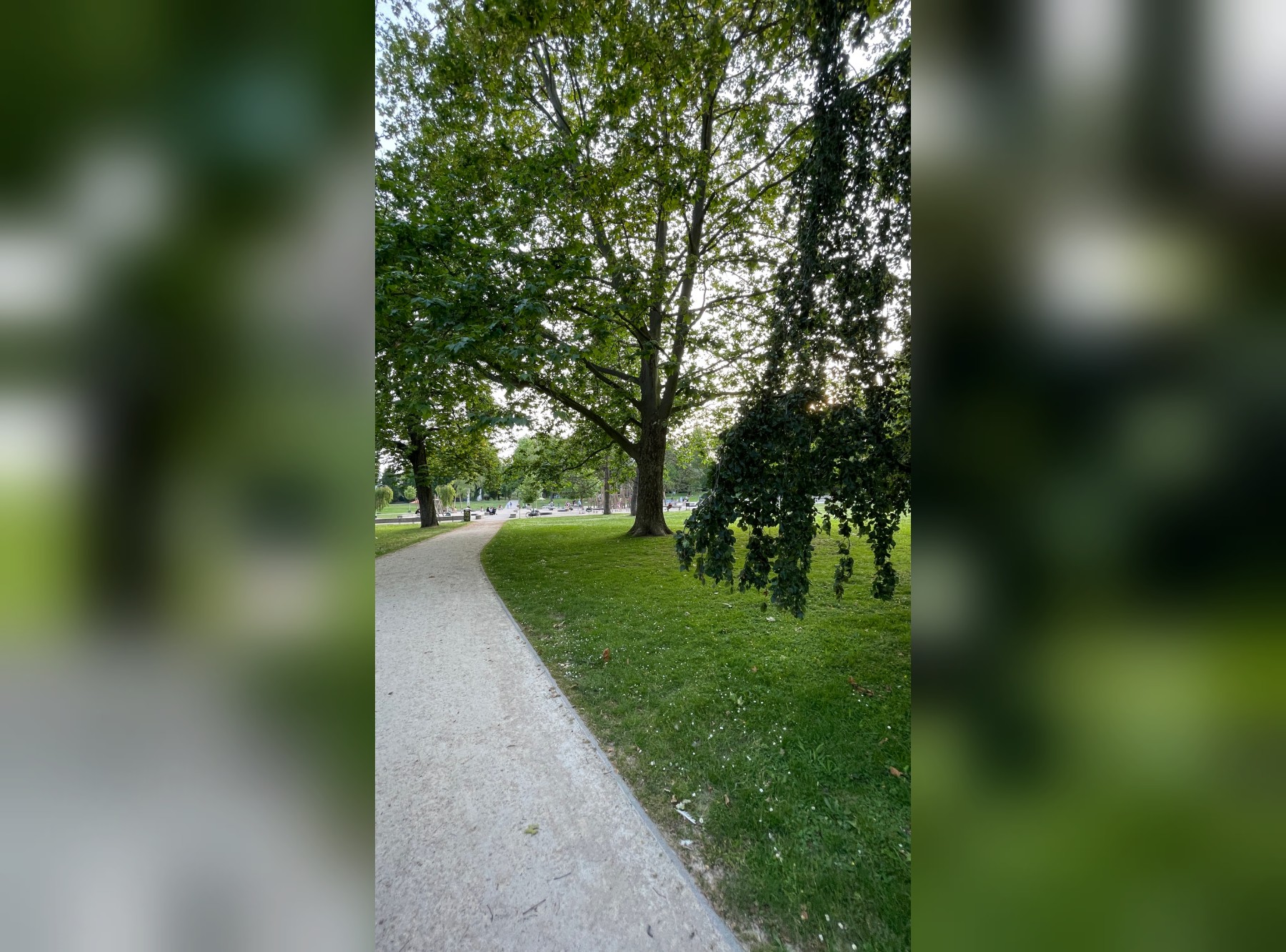 Stadtpark in Frankfurt-Höchst – Ausflug mit Kindern, Foto 4