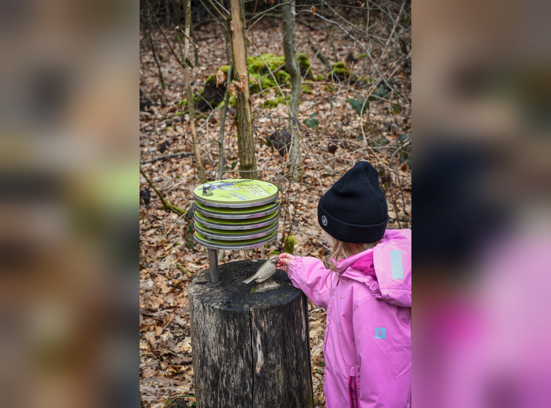 Naturlehrpfad Scheftheimer Wiesen – Ausflug mit Kindern, Foto 4