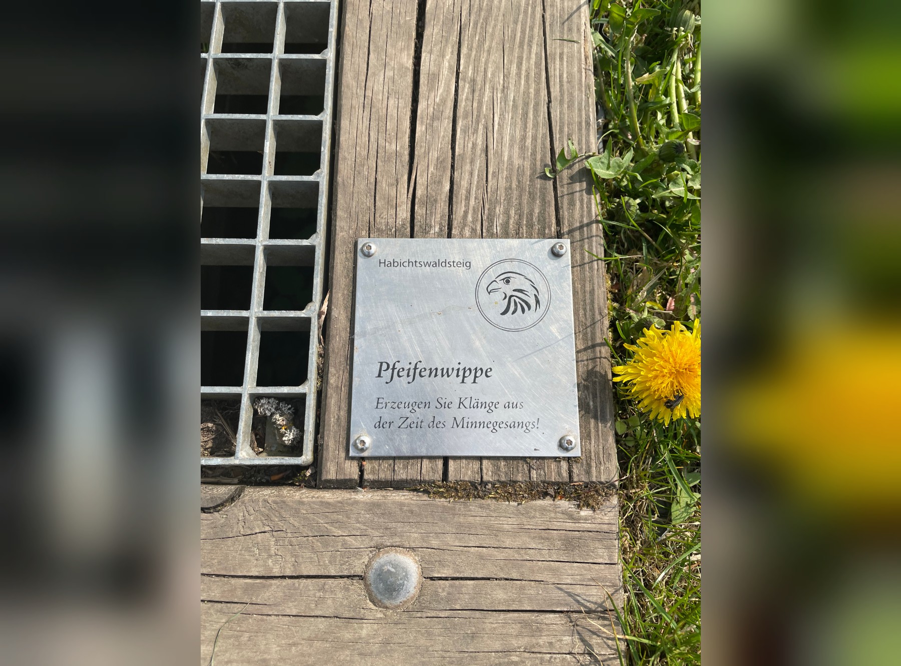 Die Burgruine Falkenstein – Ausflug mit Kindern, Foto 4