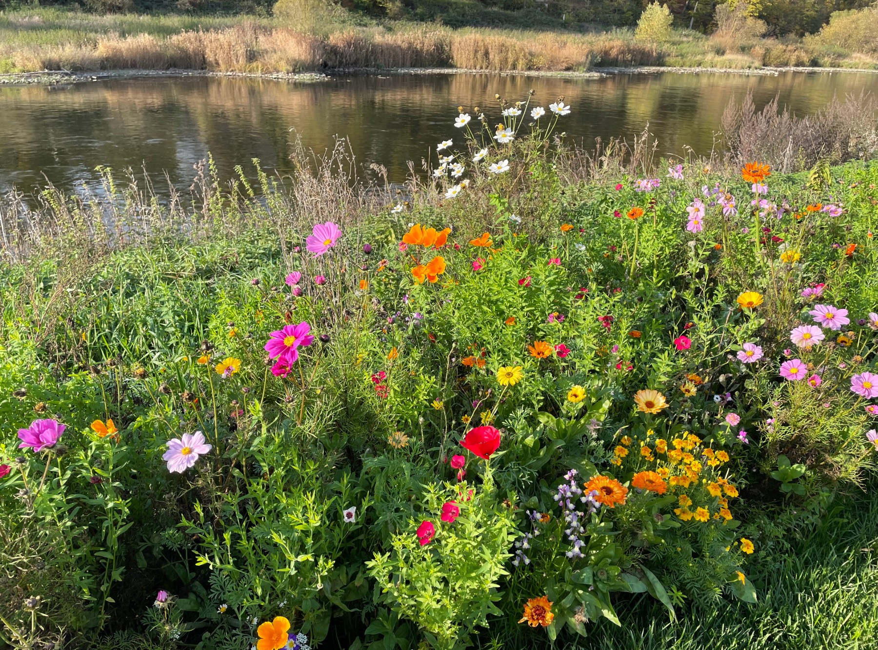Das Hafenbecken in Bad Karlshafen – Ausflug mit Kindern, Foto 4