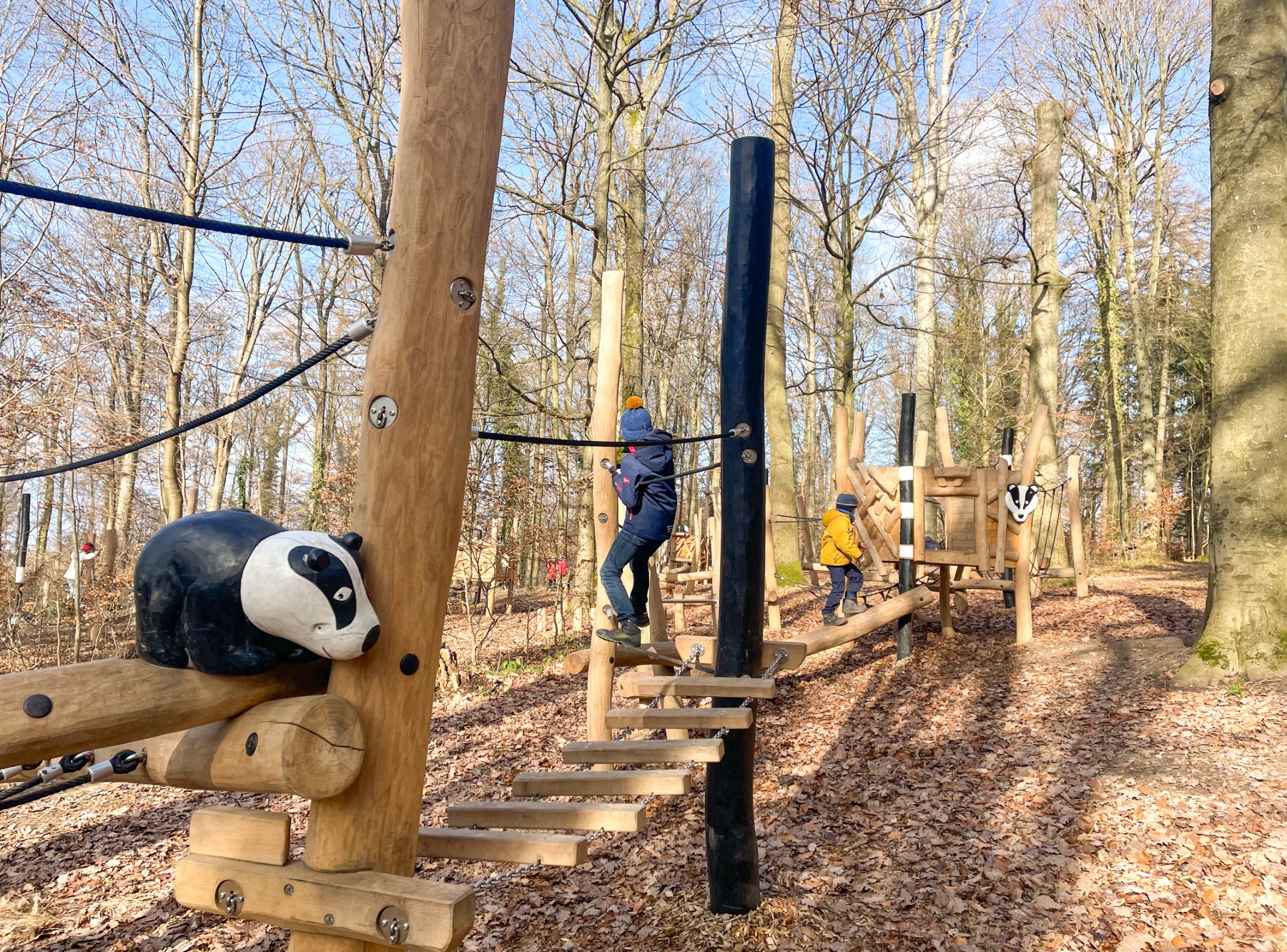 Diane Dachs Waldpfad Karlsruhe – Ausflug mit Kindern, Foto 4