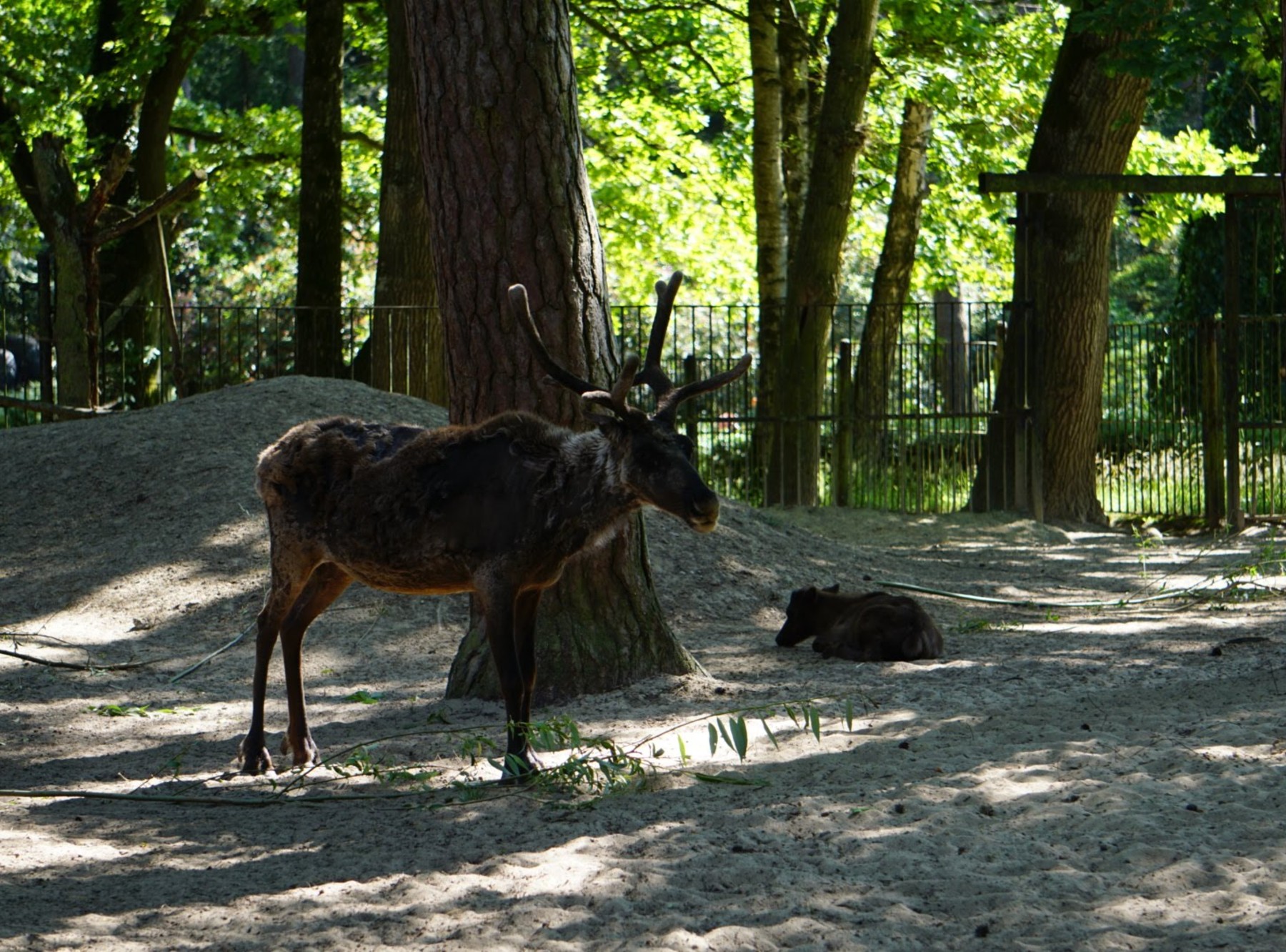 Zoo Rostock in Rostock – Ausflug mit Kindern, Foto 4