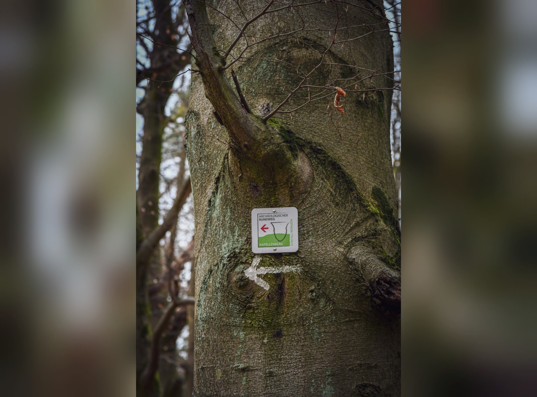 Wanderung Kapellenberg, Hofheim – Ausflug mit Kindern, Foto 5