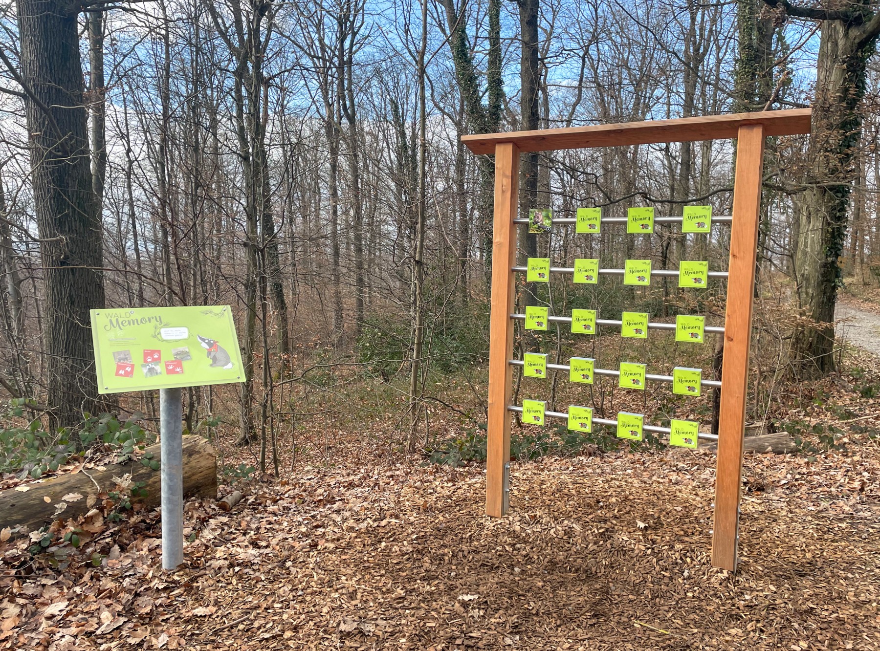 Diane Dachs Waldpfad Karlsruhe – Ausflug mit Kindern, Foto 5