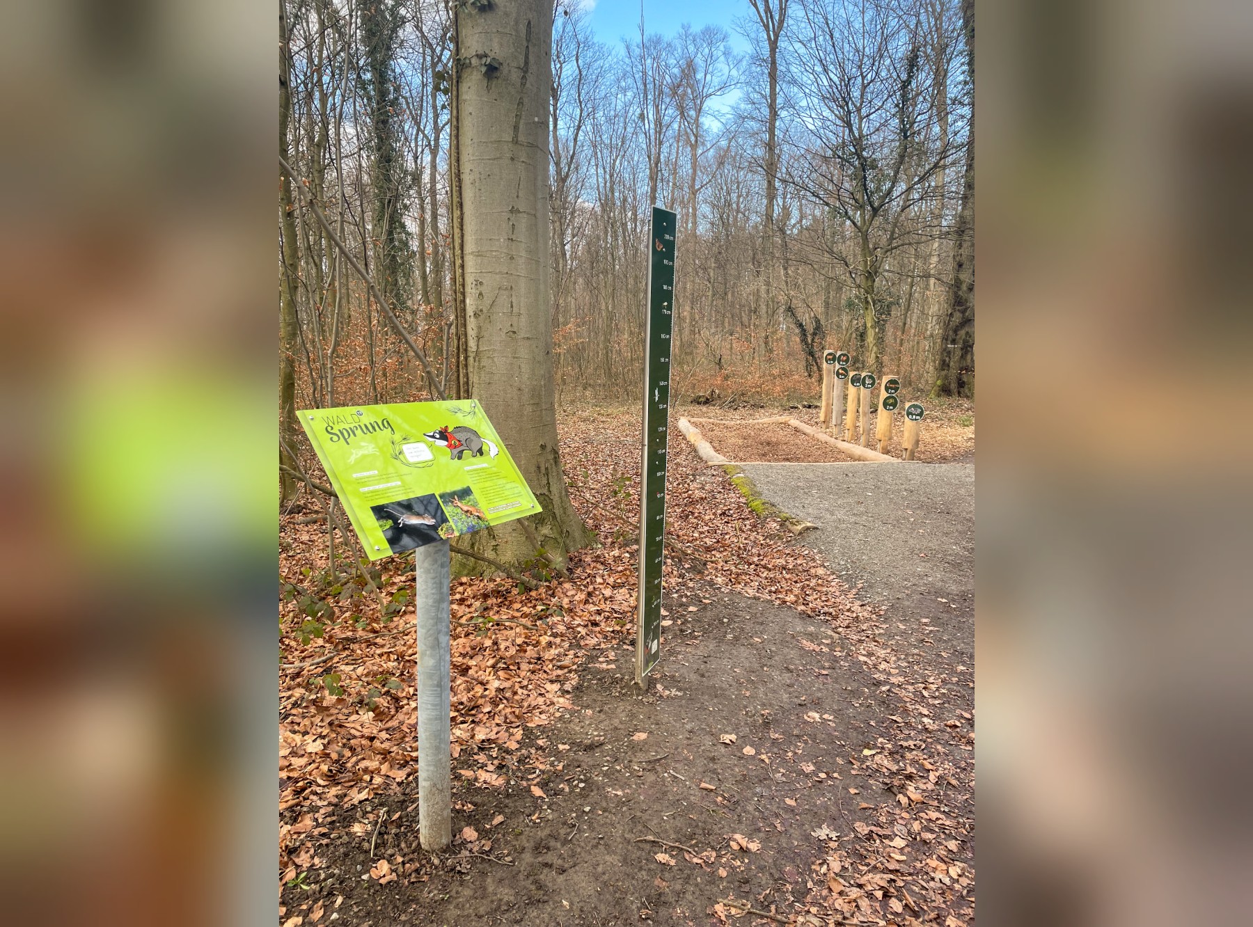 Diane Dachs Waldpfad Karlsruhe – Ausflug mit Kindern, Foto 6