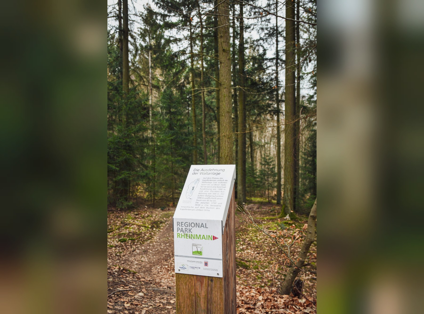 Wanderung Kapellenberg, Hofheim – Ausflug mit Kindern, Foto 7