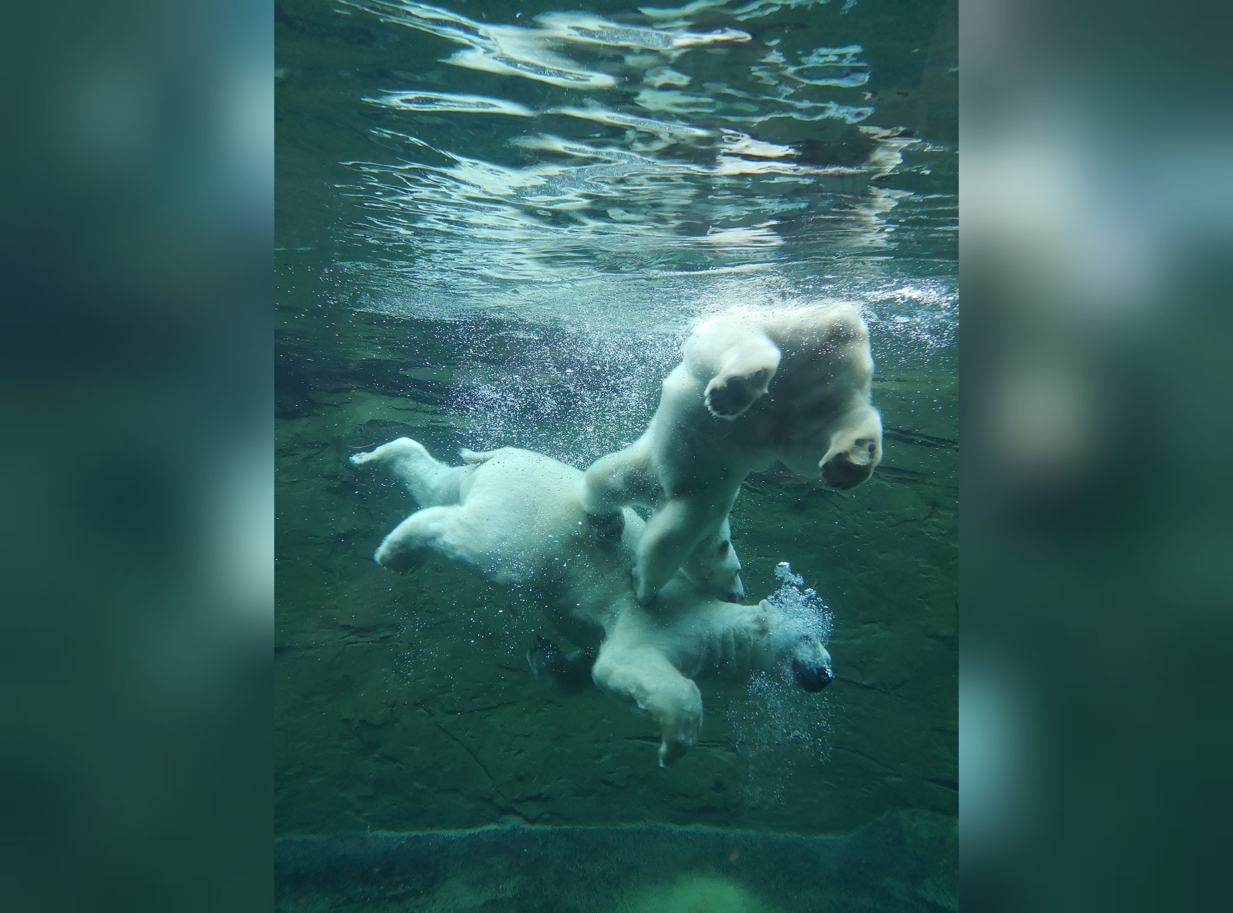 Zoo Rostock in Rostock – Ausflug mit Kindern, Foto 7