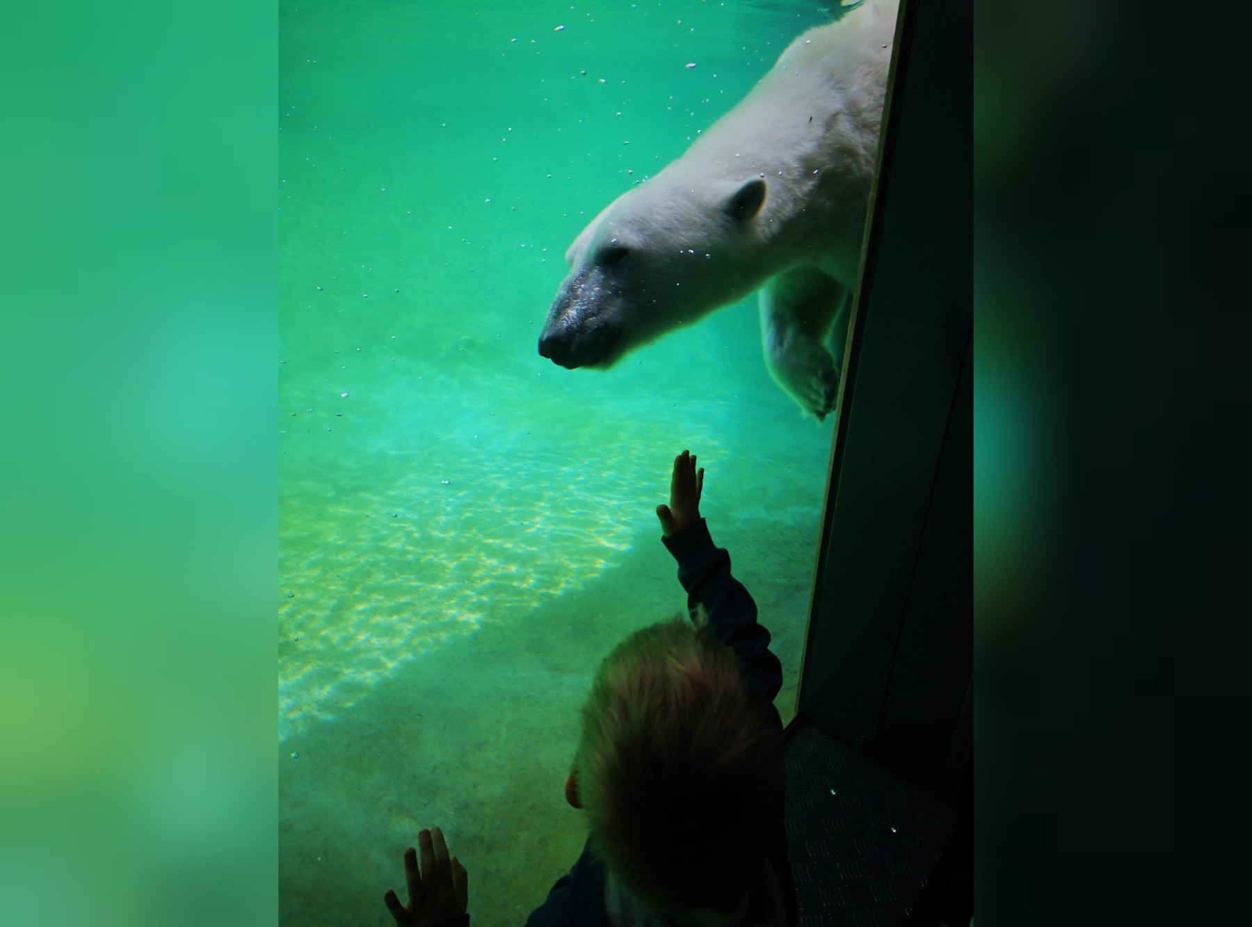 Zoo Rostock in Rostock – Ausflug mit Kindern, Foto 8