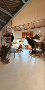 Eiszeitmuseum Lütjenburg mit Steinzeitwerkstatt