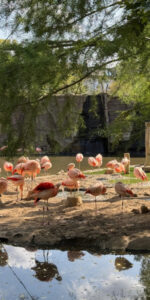 Zoo Leipzig – Ein Abenteuer für die ganze Familie