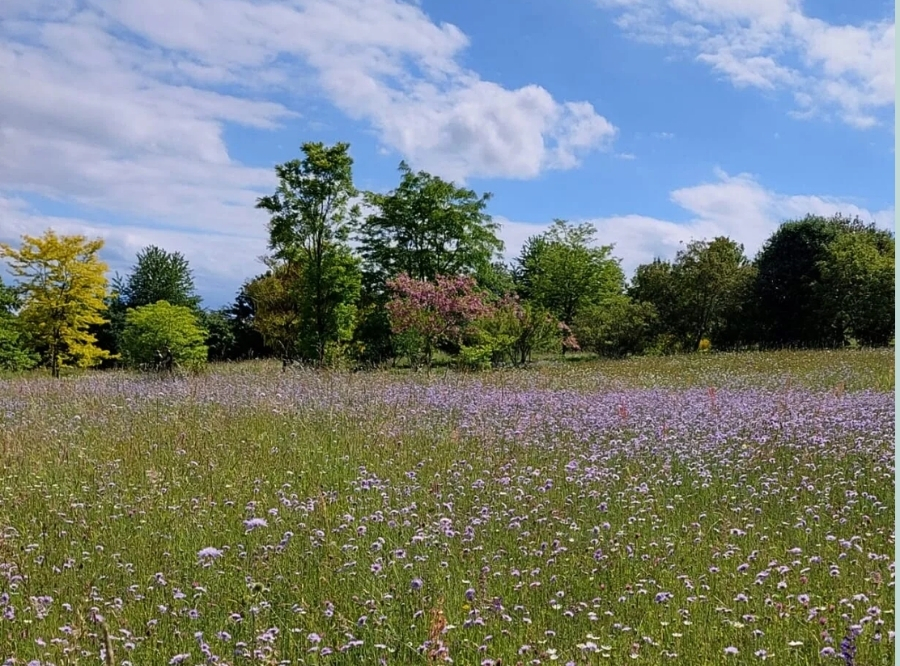 Botanischer Garten: Grüne Oase mitten in Ulm – Ausflug mit Kindern, Foto 6
