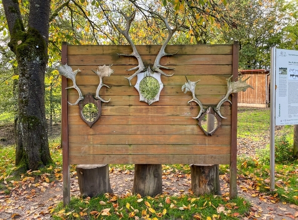 Wildpark Schwarzach – Ausflug mit Kindern, Foto 3