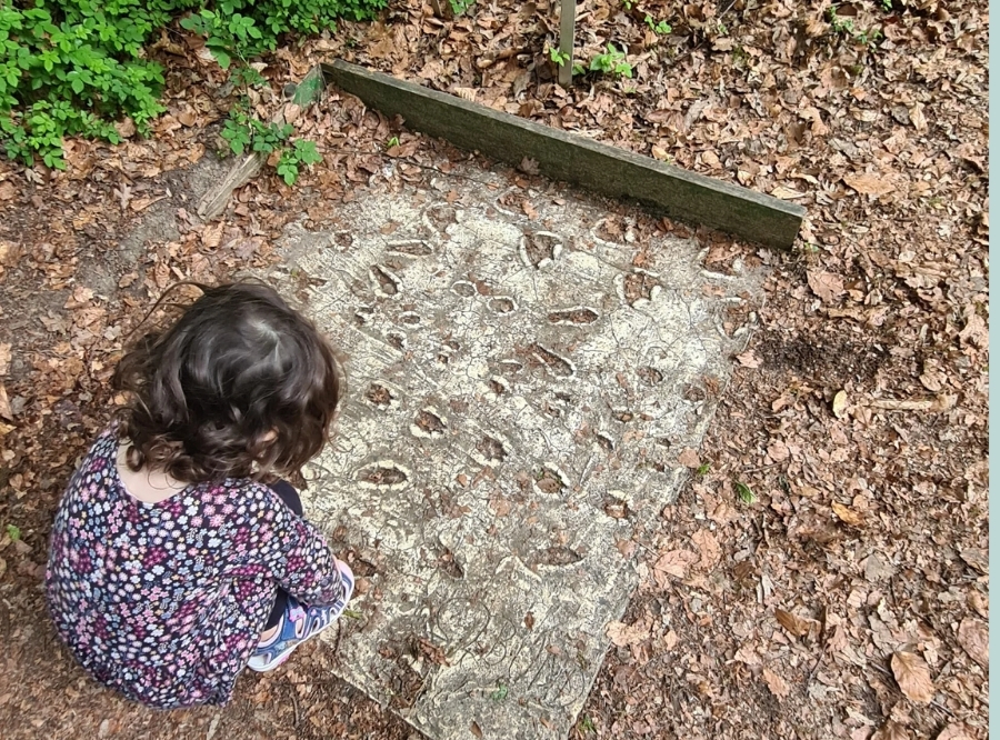 Botanischer Garten: Grüne Oase mitten in Ulm – Ausflug mit Kindern, Foto 2