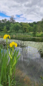 Botanischer Garten: Grüne Oase mitten in Ulm