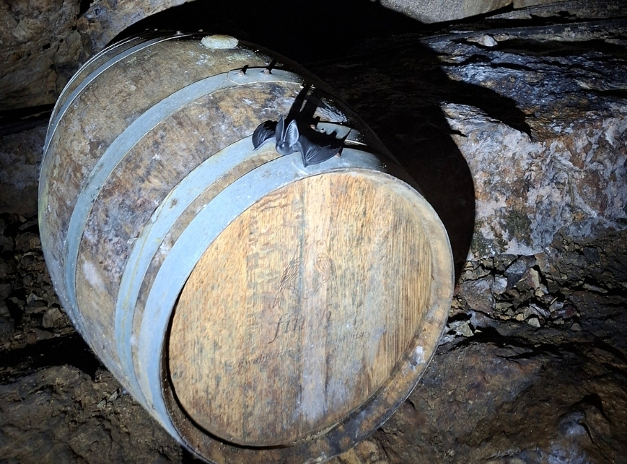Höhlenabenteuer in der Sontheimer Höhle – Ausflug mit Kindern, Foto 5