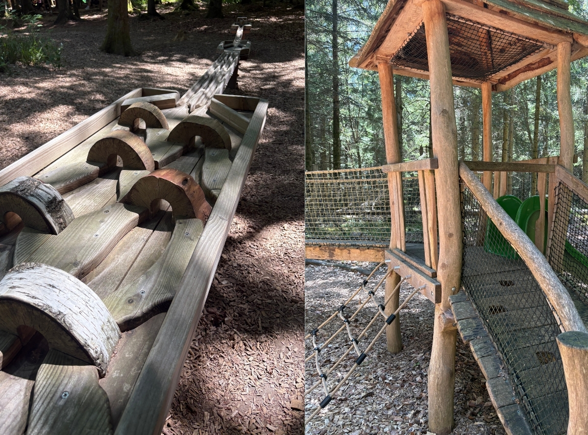 Abenteuerwald Sommerberg in Bad Wildbad – Ausflug mit Kindern, Foto 3