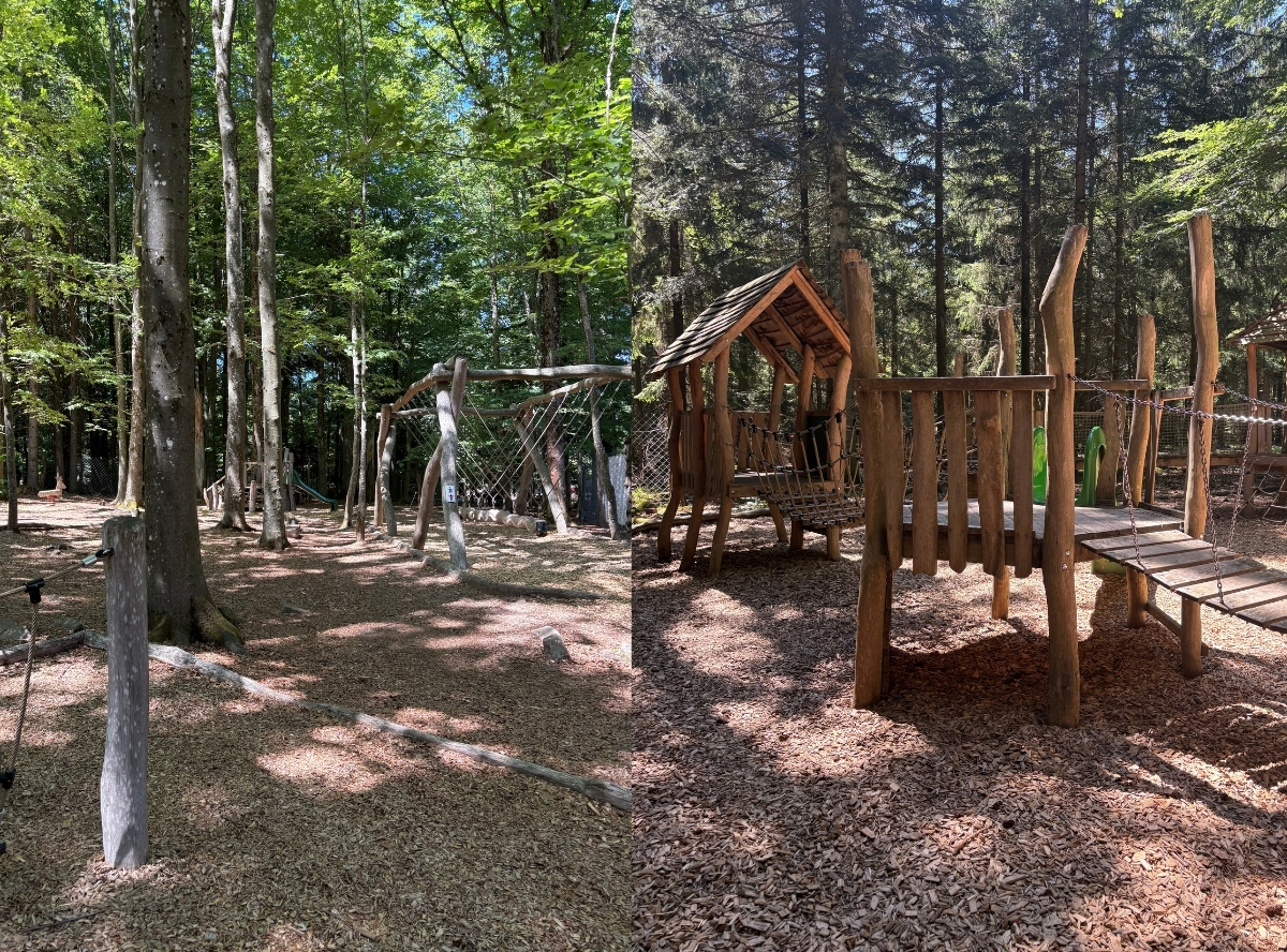 Abenteuerwald Sommerberg in Bad Wildbad – Ausflug mit Kindern, Foto 4