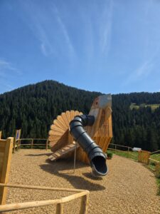 Erlebniswelt Raufußhuhn im Allgäu