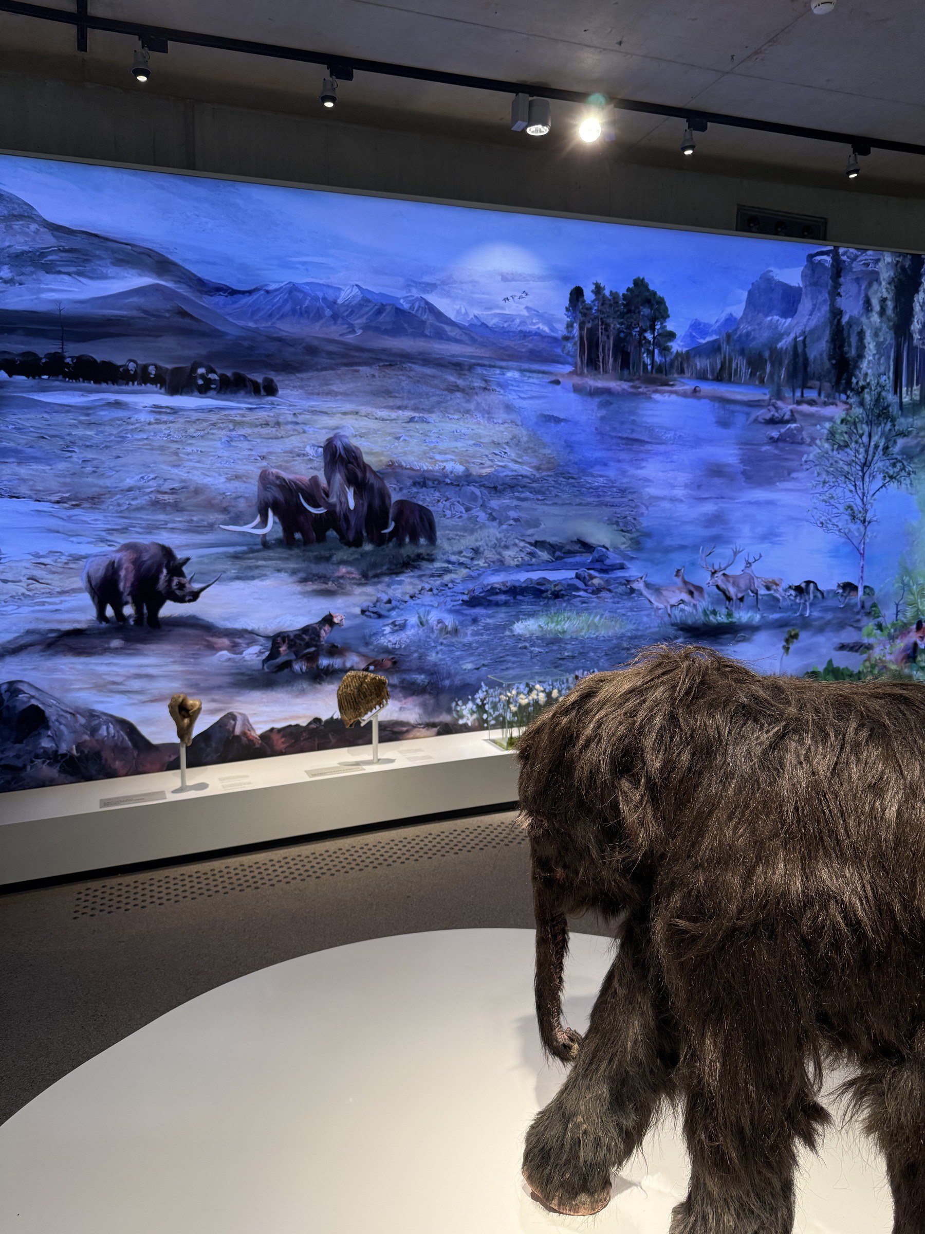 Neanderthal Museum in Mettmann – Ausflug mit Kindern, Foto 3