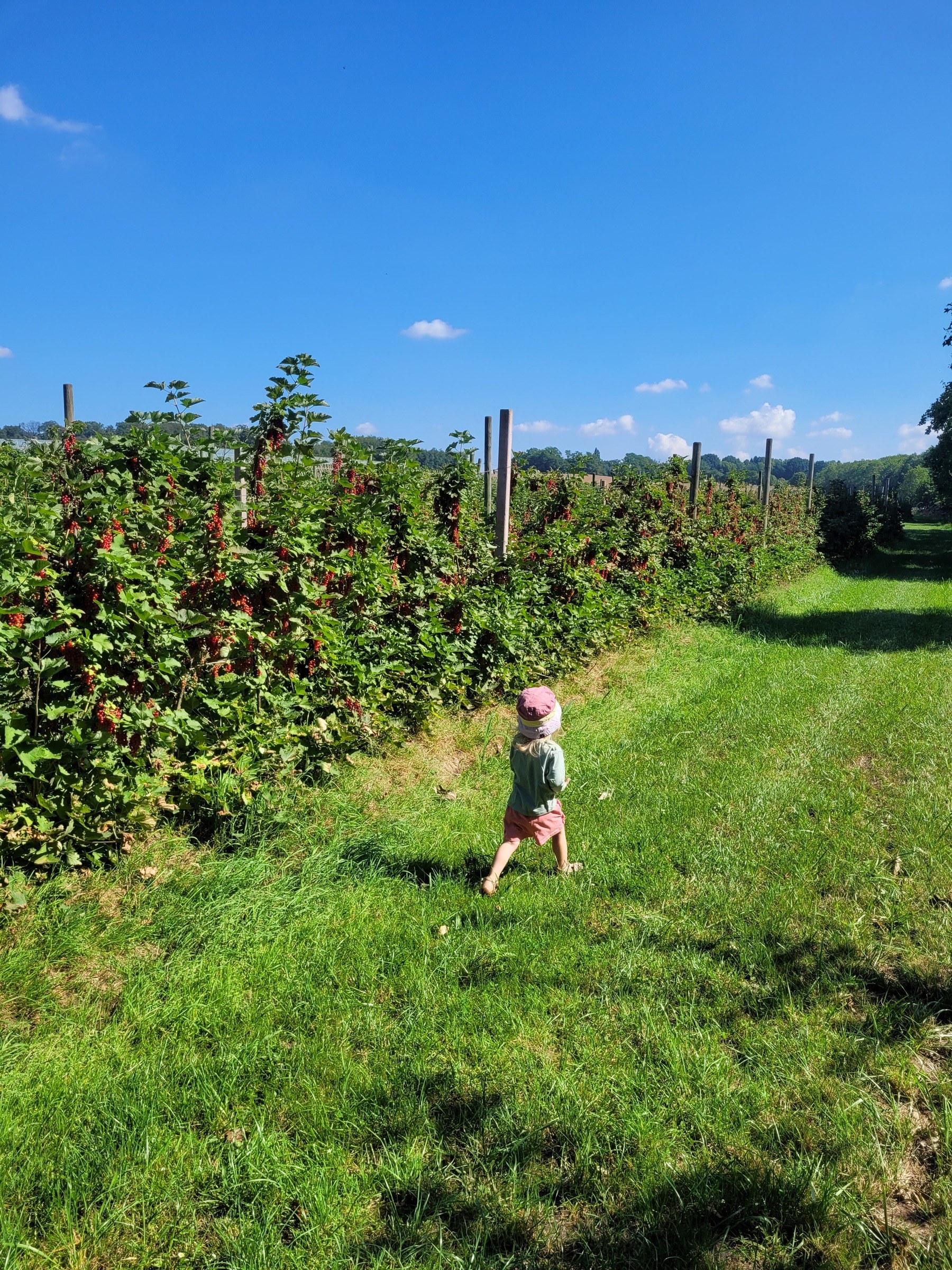 Bauerngarten Benninghoven in Düsseldorf – Ausflug mit Kindern, Foto 5