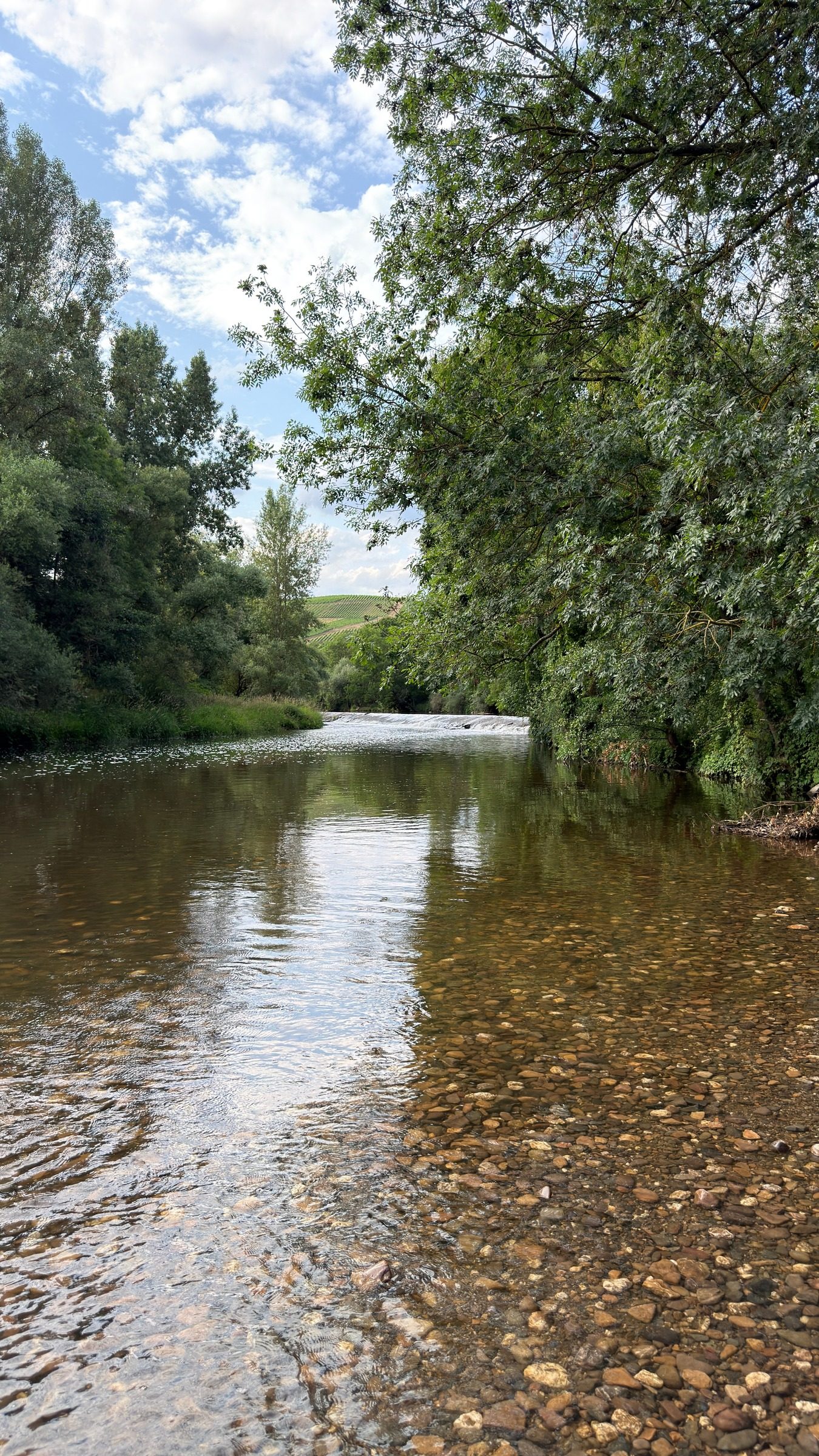 Camping Nahemühle in Monzingen – Ausflug mit Kindern, Foto 6