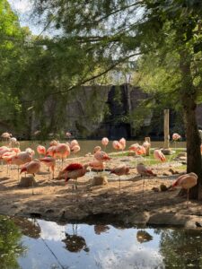 Zoo Leipzig – Ein Abenteuer für die ganze Familie
