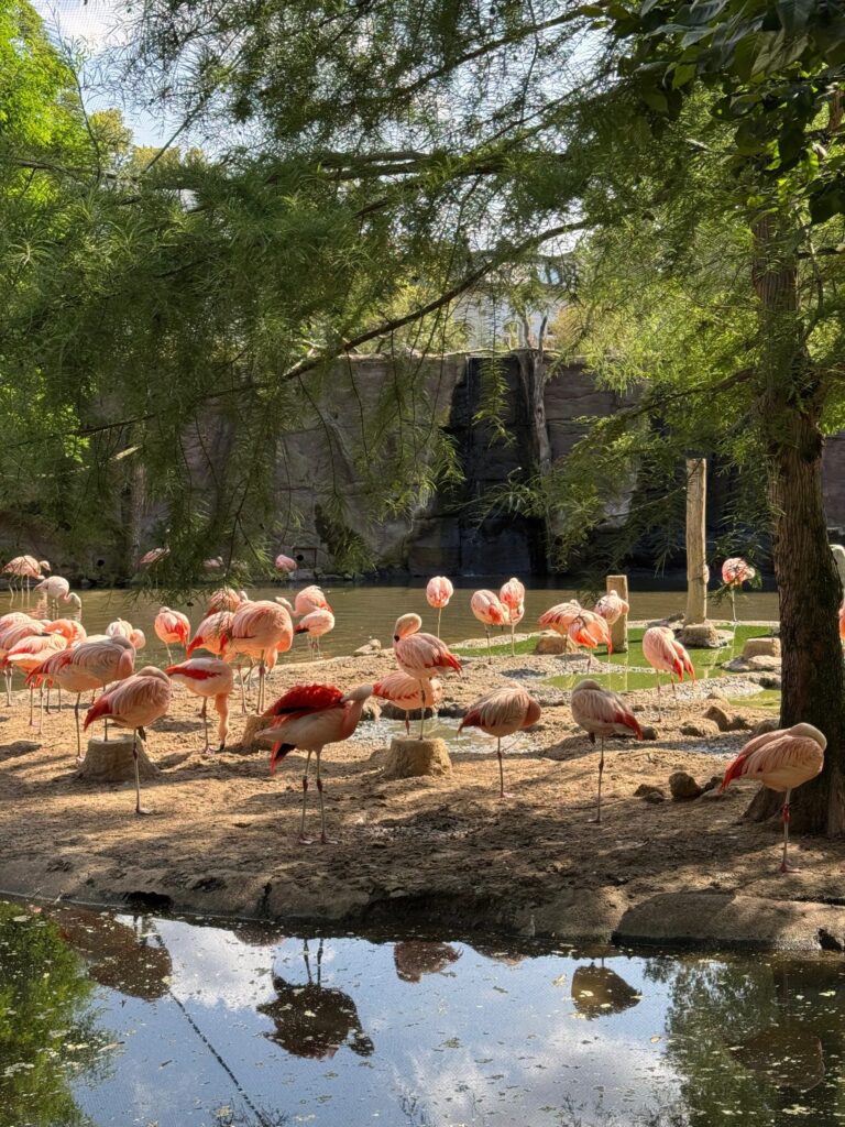 Zoo Leipzig – Ein Abenteuer für die ganze Familie