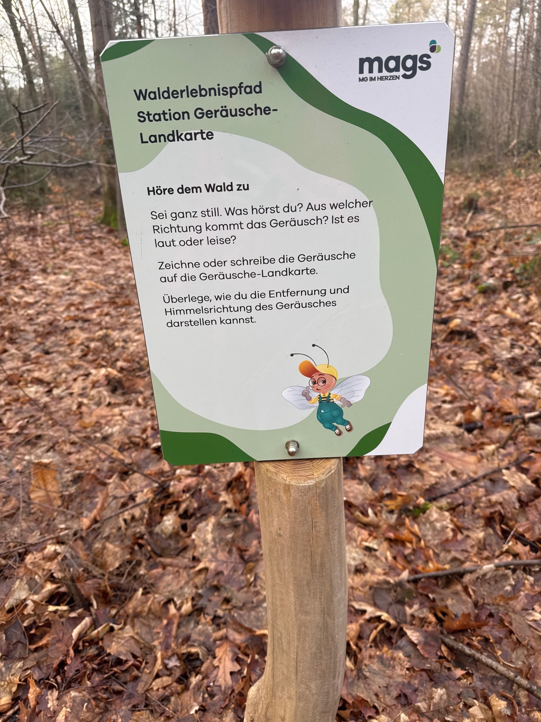 Walderlebnispfad Hardter Wald in Mönchengladbach – Ausflug mit Kindern, Foto 2