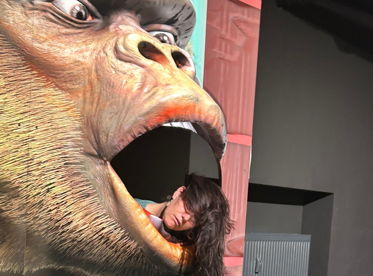 3D TrickArt Museum in Heidelberg – Ausflug mit Kindern, Foto 2