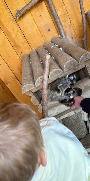 Wildpark Schmidt in Nideggen