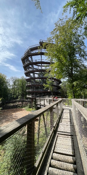 Baumwipfelpfad Steigerwald in Ebrach