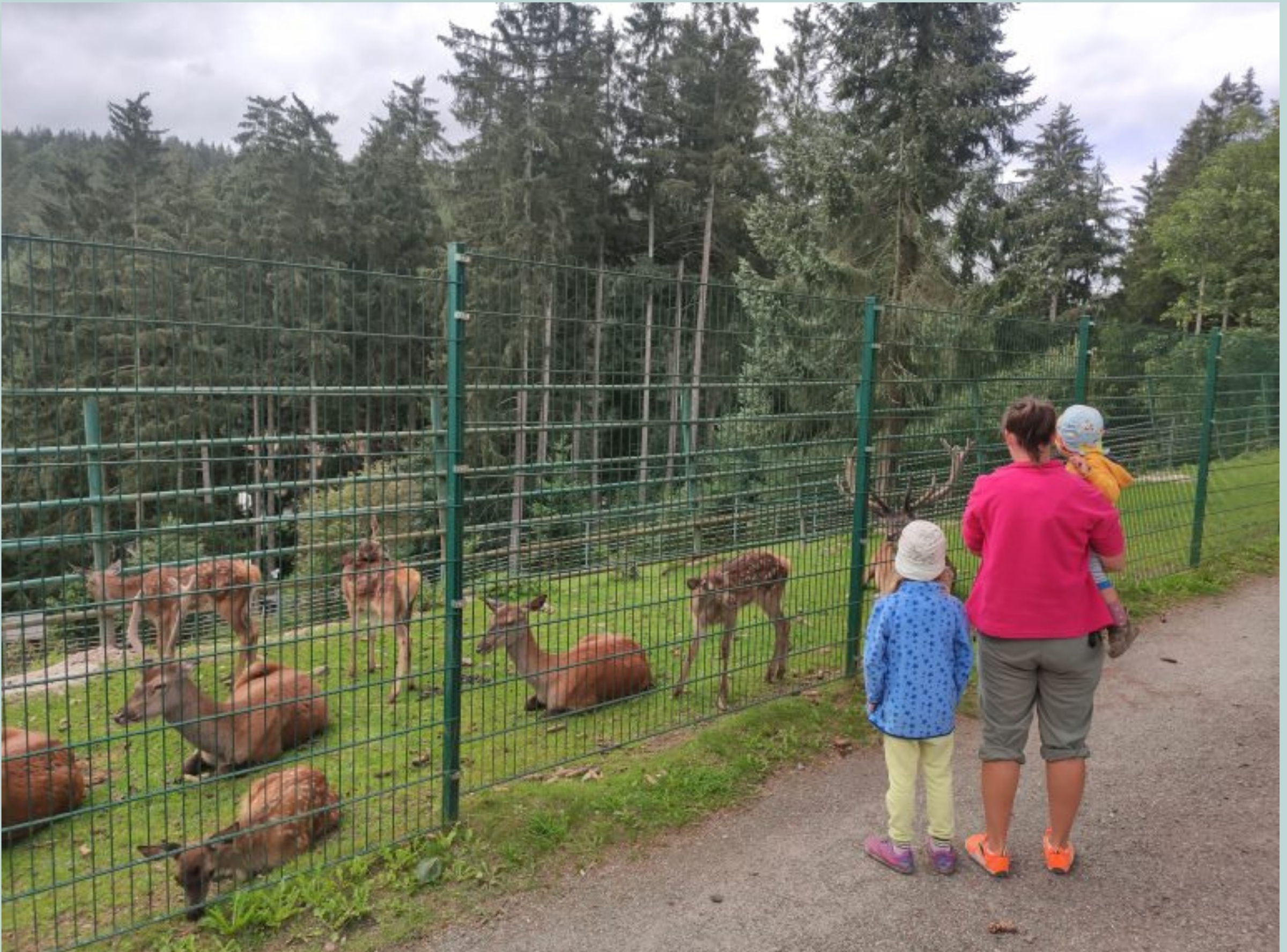 Heimatecke Waschleithe in Grünhain-Beierfeld – Ausflug mit Kindern, Foto 6