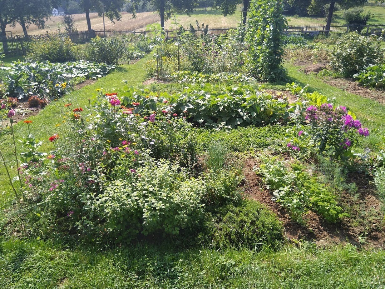 LVR-Freilichtmuseum Lindlar – Ausflug mit Kindern, Foto 3