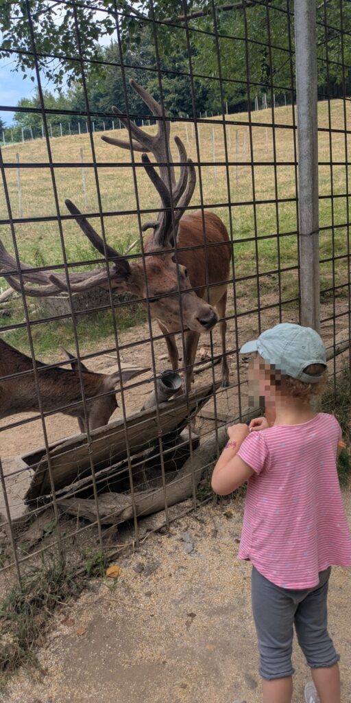 Wildpark Sonnenhalde in Neukirch-Wildpoltsweiler