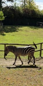 Aachener Zoo Euregiozoo